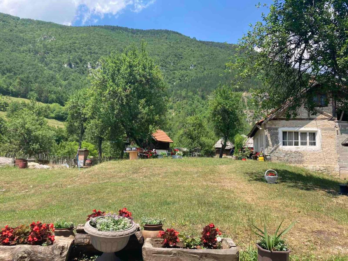 Apartman Mara Mokra Gora Exterior photo