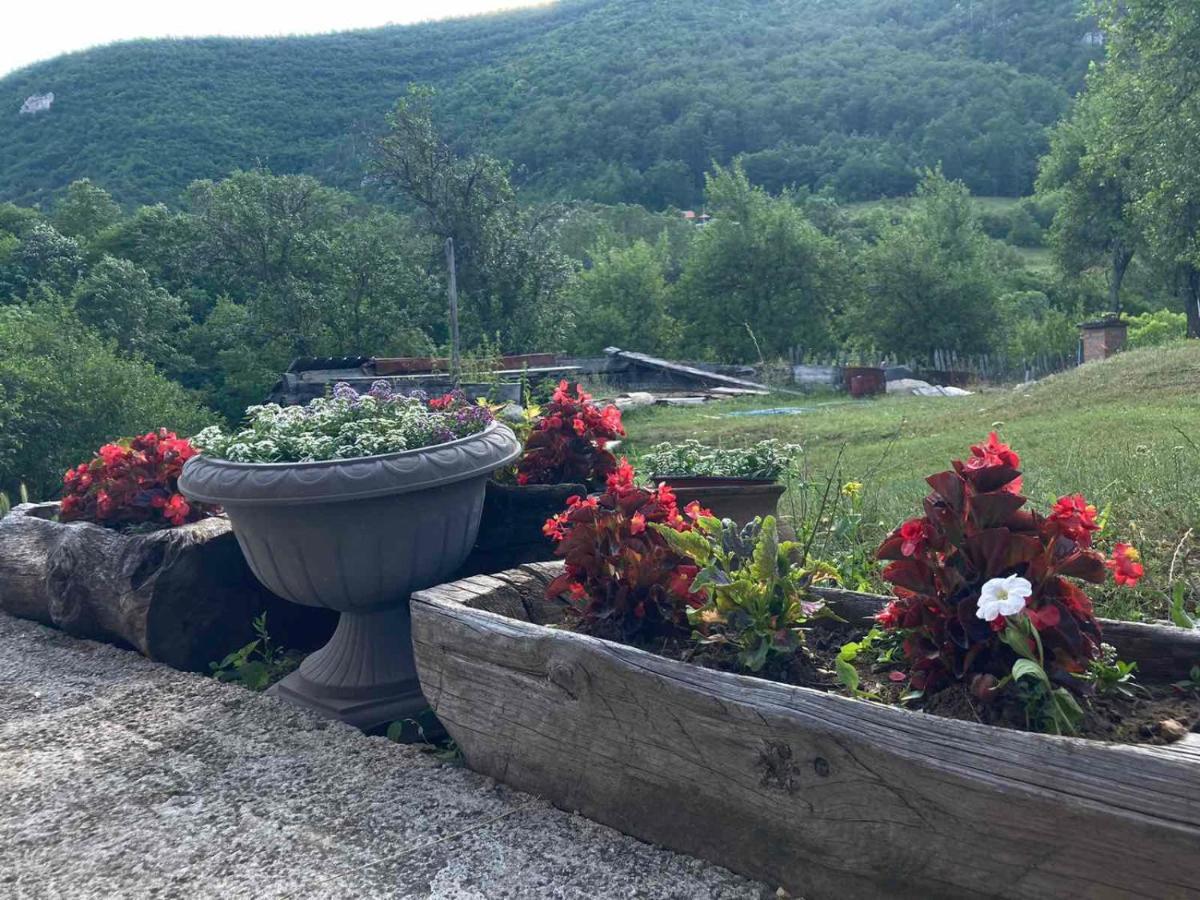 Apartman Mara Mokra Gora Exterior photo