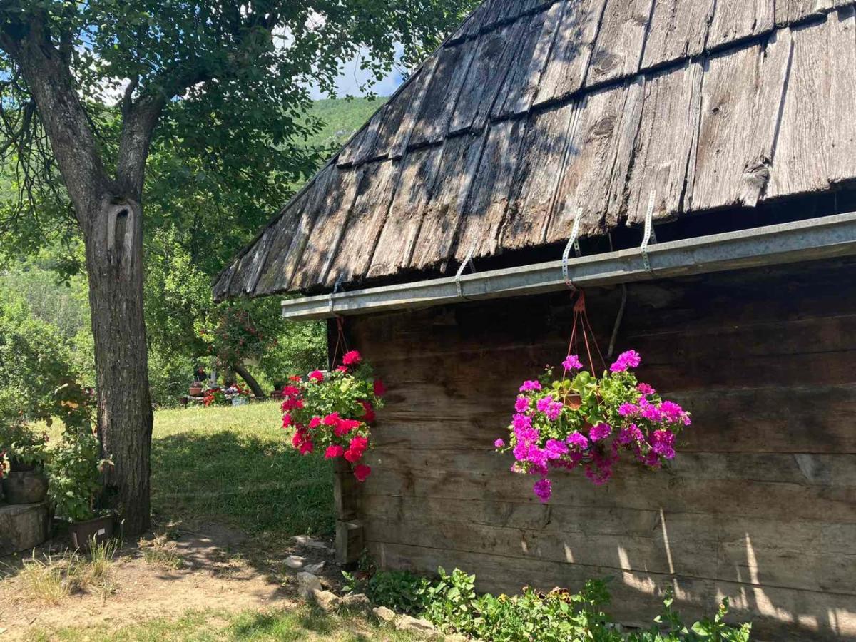 Apartman Mara Mokra Gora Exterior photo