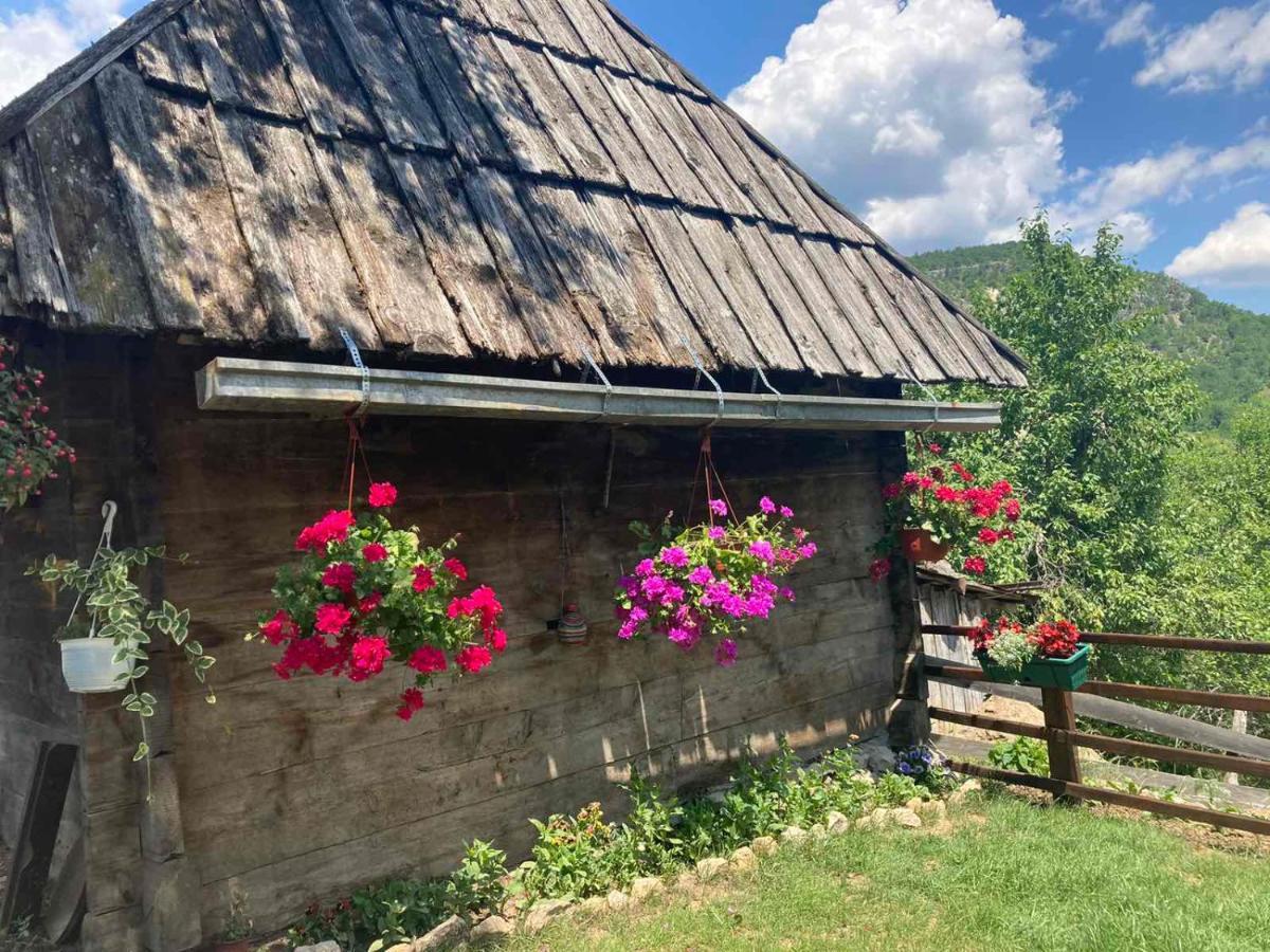 Apartman Mara Mokra Gora Exterior photo