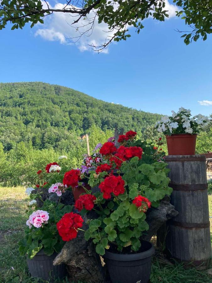 Apartman Mara Mokra Gora Exterior photo